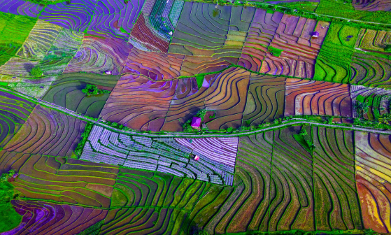 Levantamento Topográfico